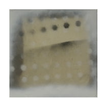 Trademark Fine Art Erin McGee Ferrell Polka Squares VII Canvas Wall Art