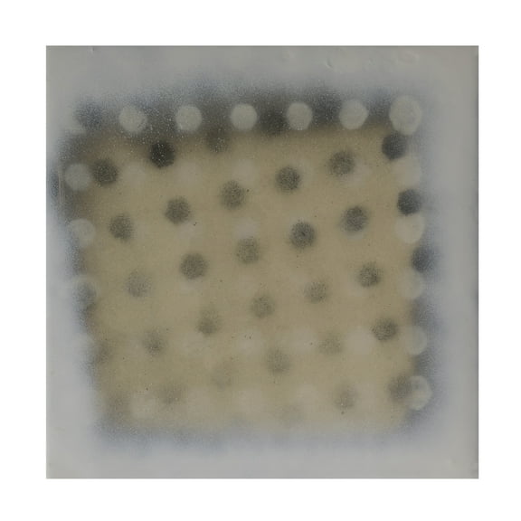 Trademark Fine Art Erin McGee Ferrell Polka Squares VIII Canvas Wall Art