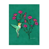 Trademark Fine Art Erum Khalili Hummingbird Canvas Wall Art