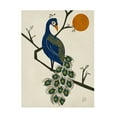 thumbnail image 1 of Trademark Fine Art Erum Khalili  Vintage Peacock Canvas Wall Art, 1 of 4