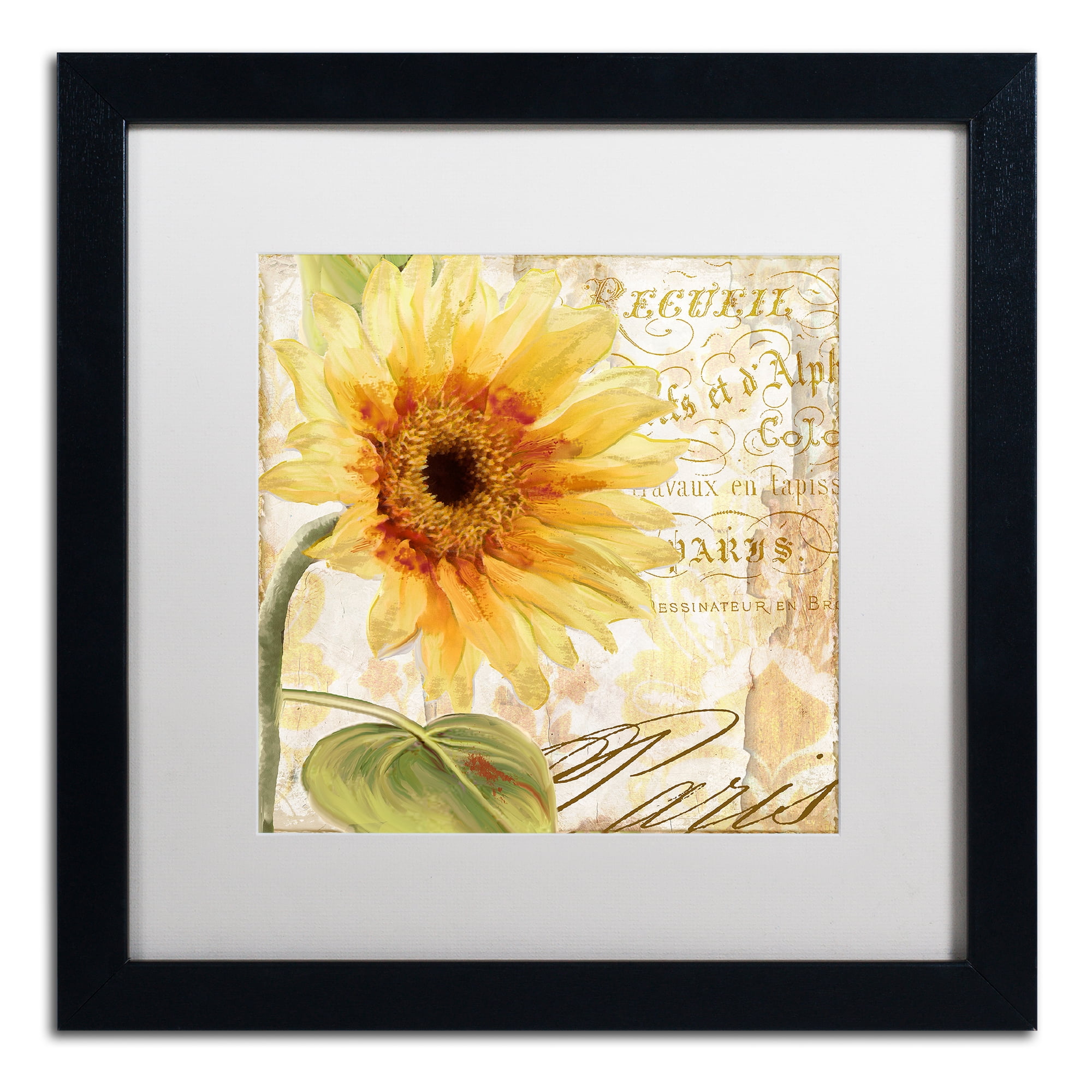 Trademark Fine Art 'Ete I' Black Framed Art by Color Bakery
