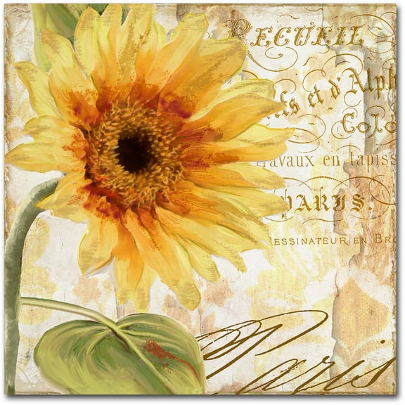 Trademark Fine Art "Ete I" Canvas Art by Color Bakery