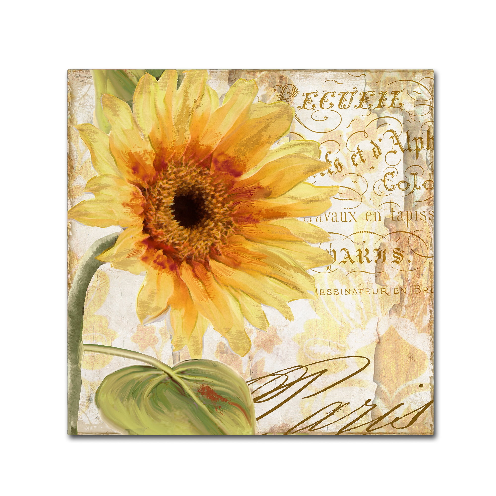 Trademark Fine Art 'Ete I' Canvas Art by Color Bakery