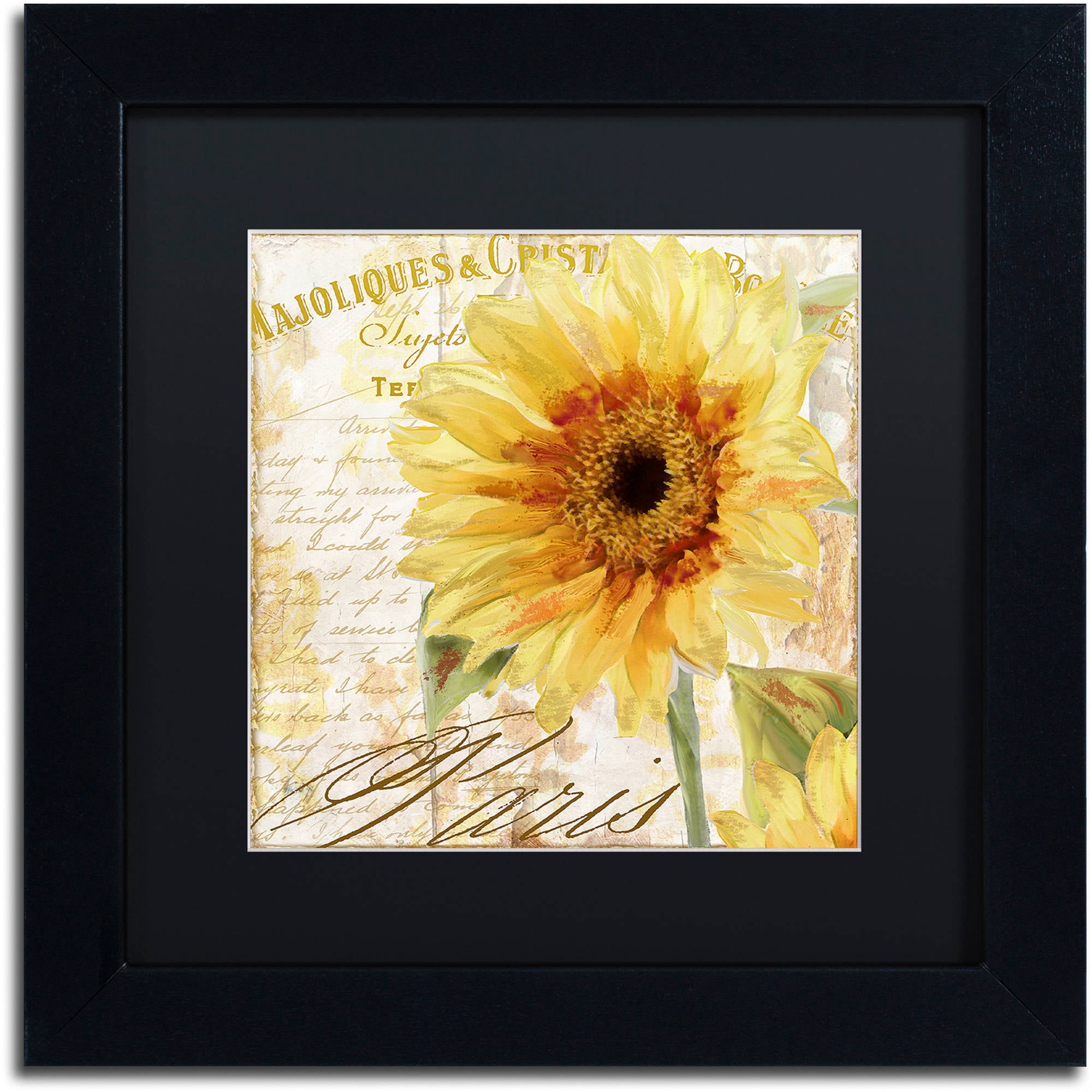 Trademark Fine Art "Ete II" Canvas Art by Color Bakery Black Matte, Black Frame