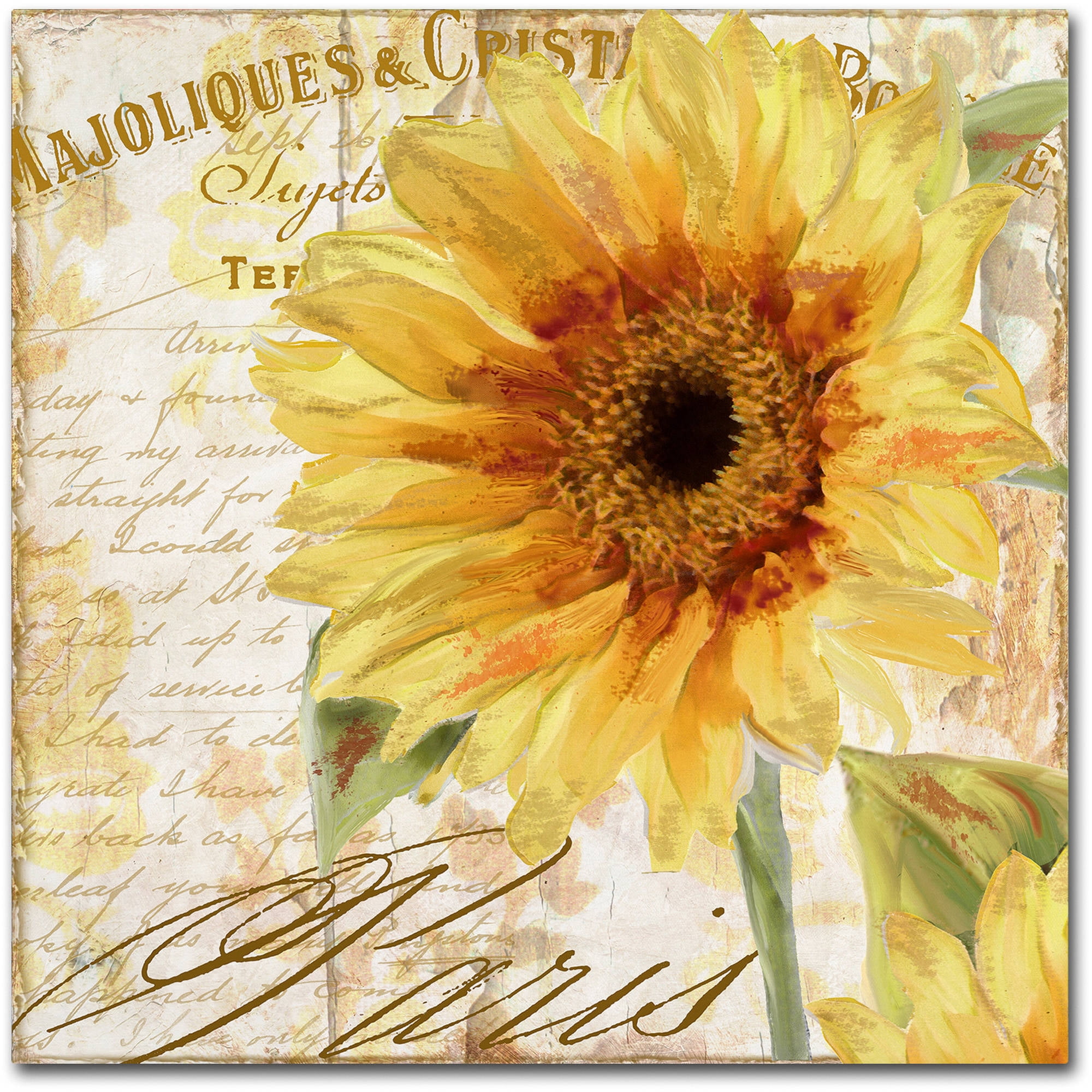 Trademark Fine Art "Ete II" Canvas Art by Color Bakery