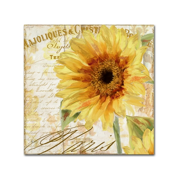 Trademark Fine Art 'Ete II' Canvas Art by Color Bakery