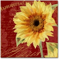 Trademark Fine Art "Ete III" Canvas Art by Color Bakery