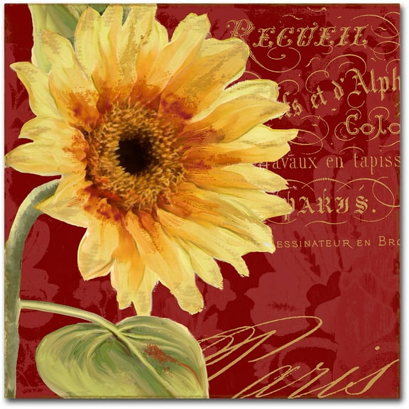 Trademark Fine Art "Ete IV" Canvas Art by Color Bakery