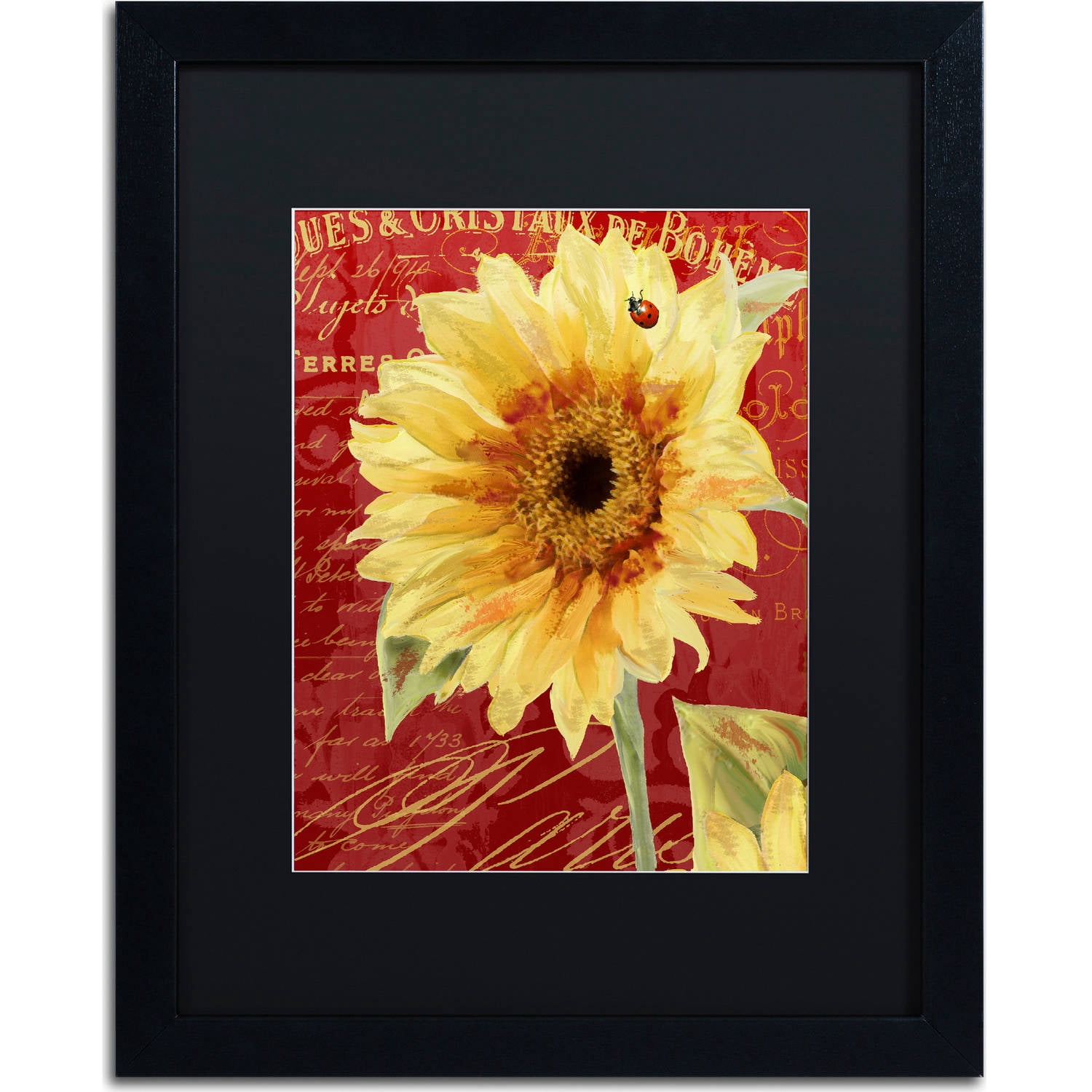 Trademark Fine Art "Ete Lady Bug" Canvas Art by Color Bakery, Black Matte, Black Frame