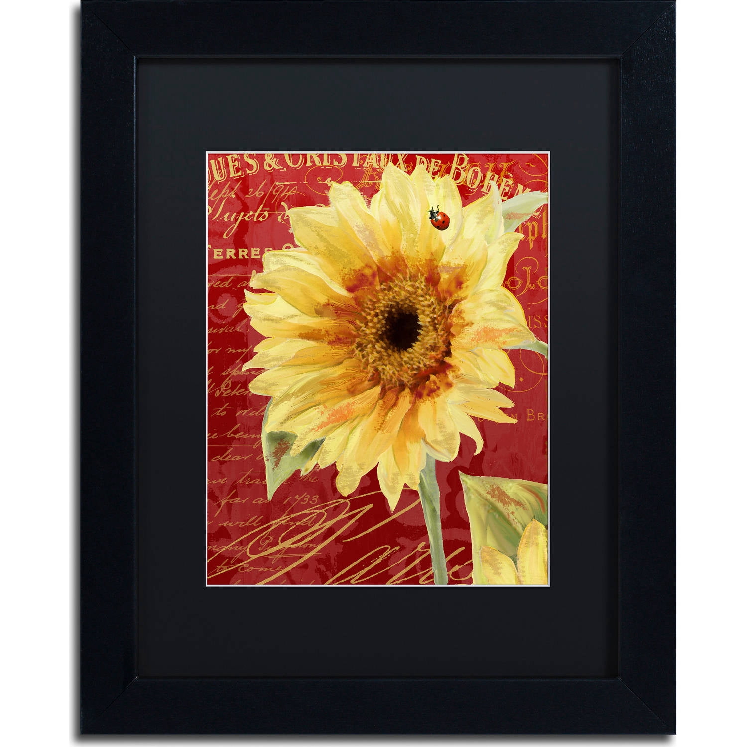 Trademark Fine Art "Ete Lady Bug" Canvas Art by Color Bakery, Black Matte, Black Frame