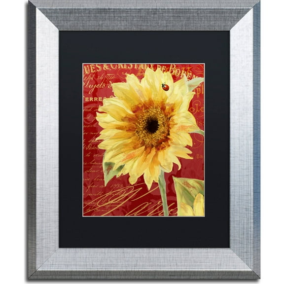 Trademark Fine Art "Ete Lady Bug" Canvas Art by Color Bakery, Black Matte, Silver Frame