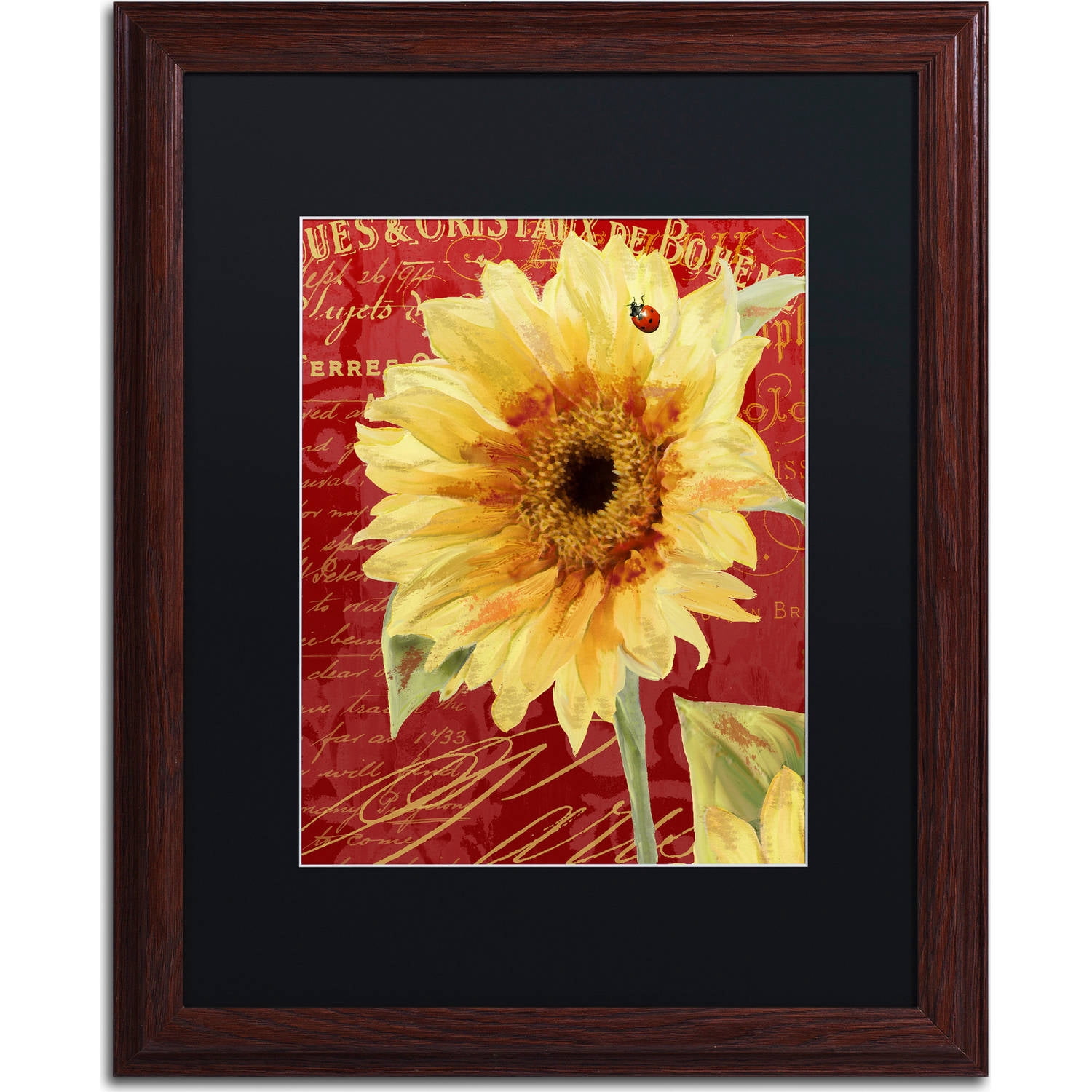 Trademark Fine Art "Ete Lady Bug" Canvas Art by Color Bakery, Black Matte, Wood Frame
