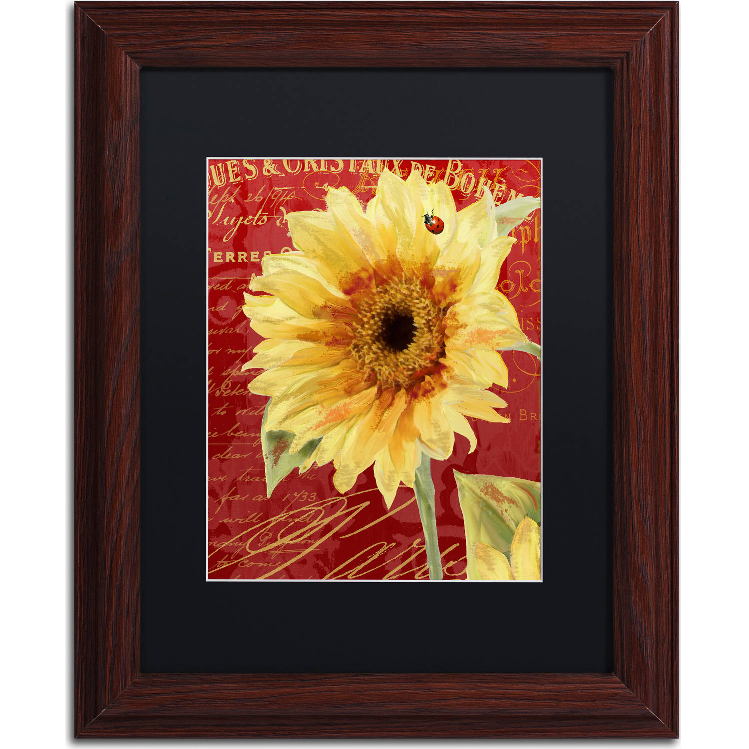 Trademark Fine Art "Ete Lady Bug" Canvas Art by Color Bakery, Black Matte, Wood Frame