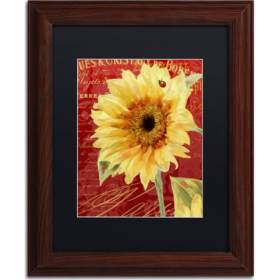 Trademark Fine Art "Ete Lady Bug" Canvas Art by Color Bakery, Black Matte, Wood Frame