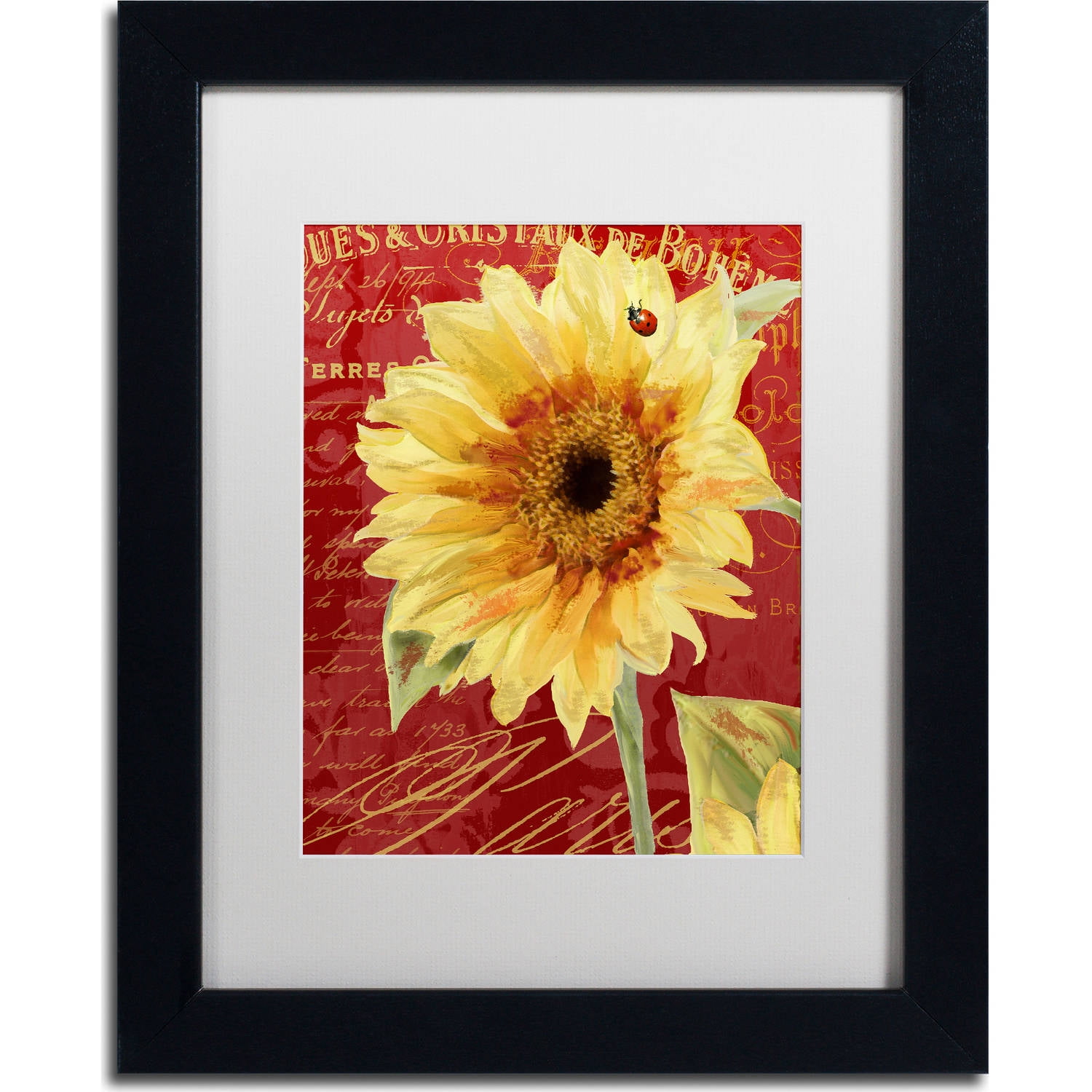 Trademark Fine Art "Ete Lady Bug" Canvas Art by Color Bakery, White Matte, Black Frame