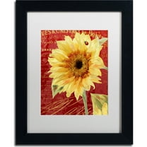 Trademark Fine Art "Ete Lady Bug" Canvas Art by Color Bakery, White Matte, Black Frame