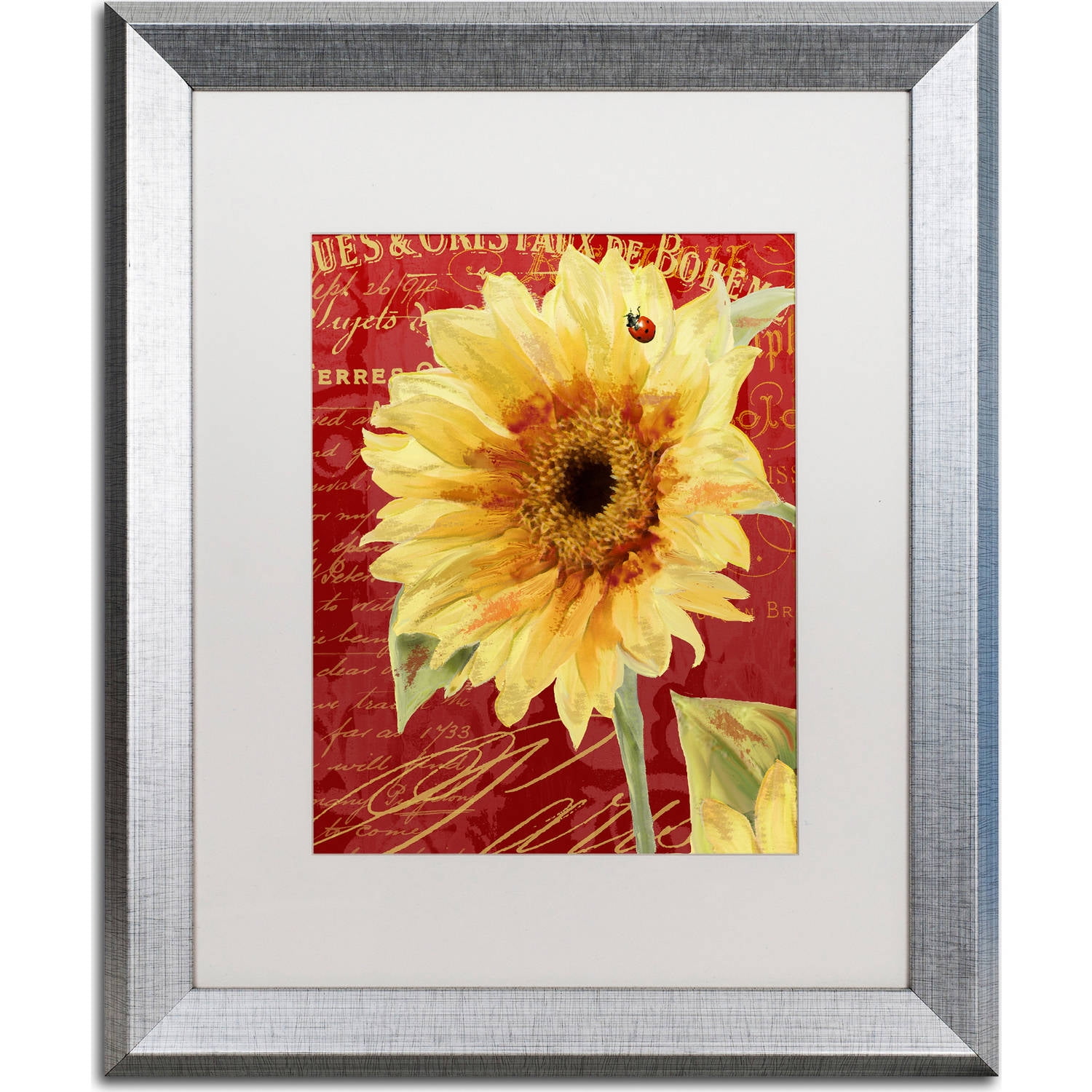 Trademark Fine Art "Ete Lady Bug" Canvas Art by Color Bakery, White Matte, Silver Frame