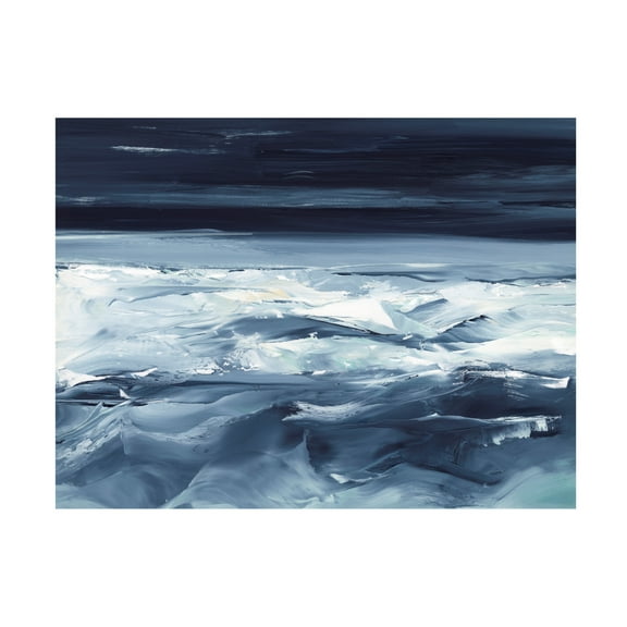 Trademark Fine Art Ethan Harper Moonlit Ocean I Canvas Wall Art