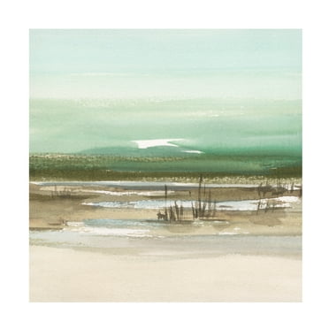 Trademark Fine Art Ethan Harper Sparkling Marsh I Canvas Wall Art
