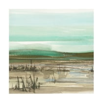 Trademark Fine Art Ethan Harper  Sparkling Marsh II Canvas Wall Art