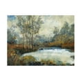 thumbnail image 1 of Trademark Fine Art Tim OToole Ethereal Light I Canvas Wall Art - 14x19, 1 of 5
