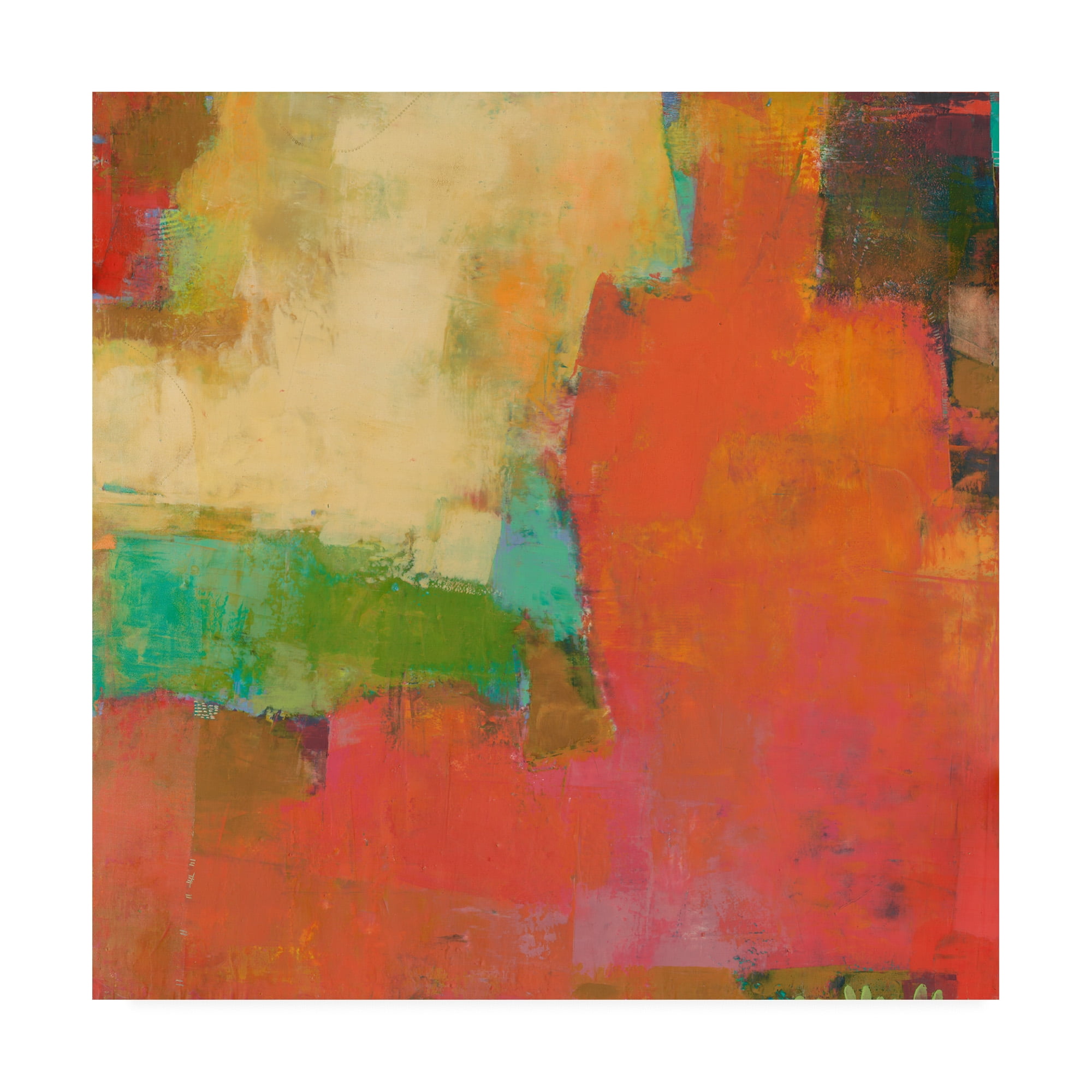 Trademark Fine Art 'Etienne I' Canvas Art by Sue Jachimiec
