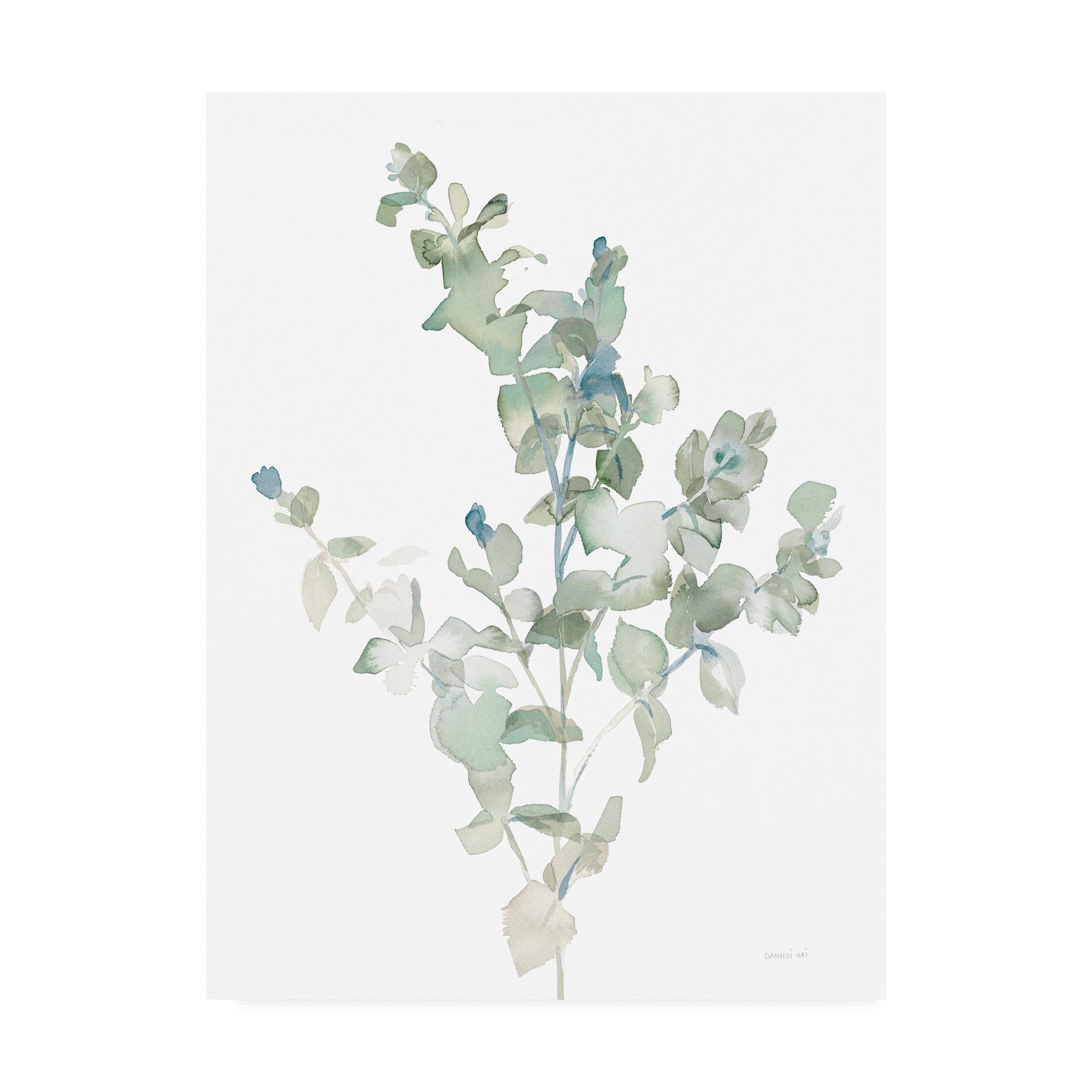 Trademark Fine Art 'Eucalyptus II Cool' Canvas Art by Danhui Nai