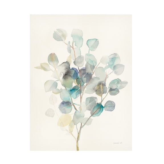Trademark Fine Art Danhui Nai Eucalyptus III Canvas Wall Art - 35x47