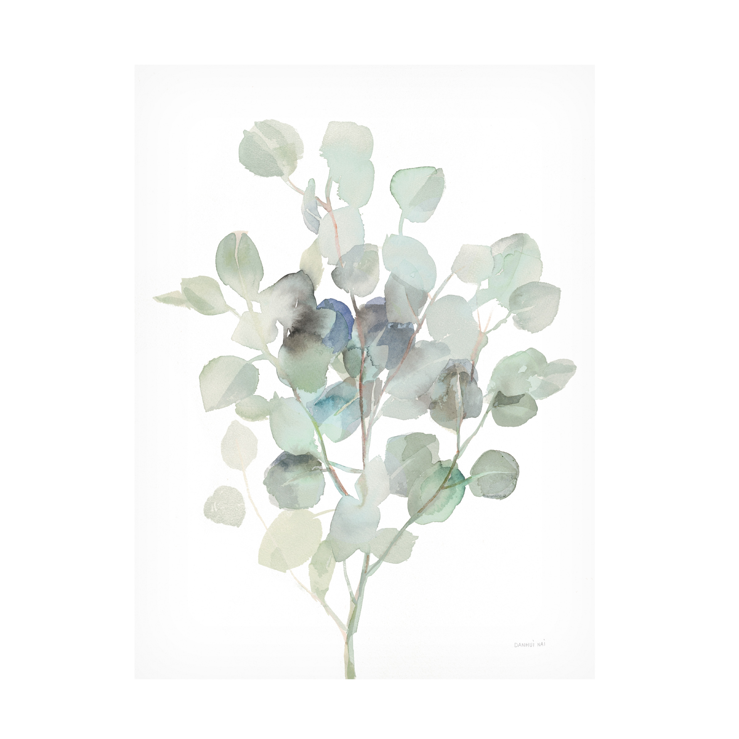 Trademark Fine Art 'Eucalyptus III Cool' Canvas Art by Danhui Nai