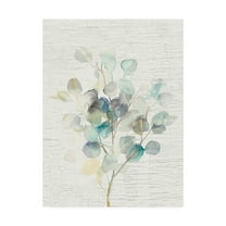 Trademark Fine Art 'Eucalyptus III Vintage' Canvas Art by Danhui Nai