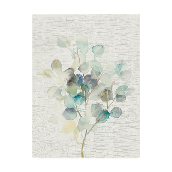 Trademark Fine Art 'Eucalyptus III Vintage' Canvas Art by Danhui Nai