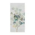 thumbnail image 1 of Trademark Fine Art 'Eucalyptus III on Shiplap Crop' Canvas Art by Danhui Nai, 1 of 3