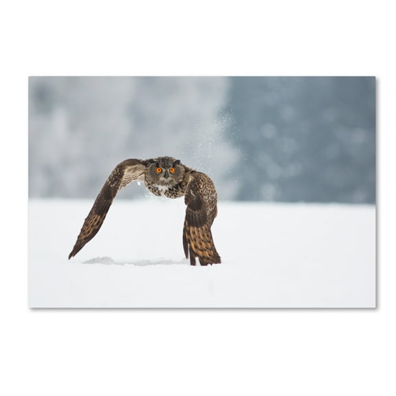 Trademark Fine Art 'Eurasian Eagle Owl' Canvas Art by Milan Zygmunt