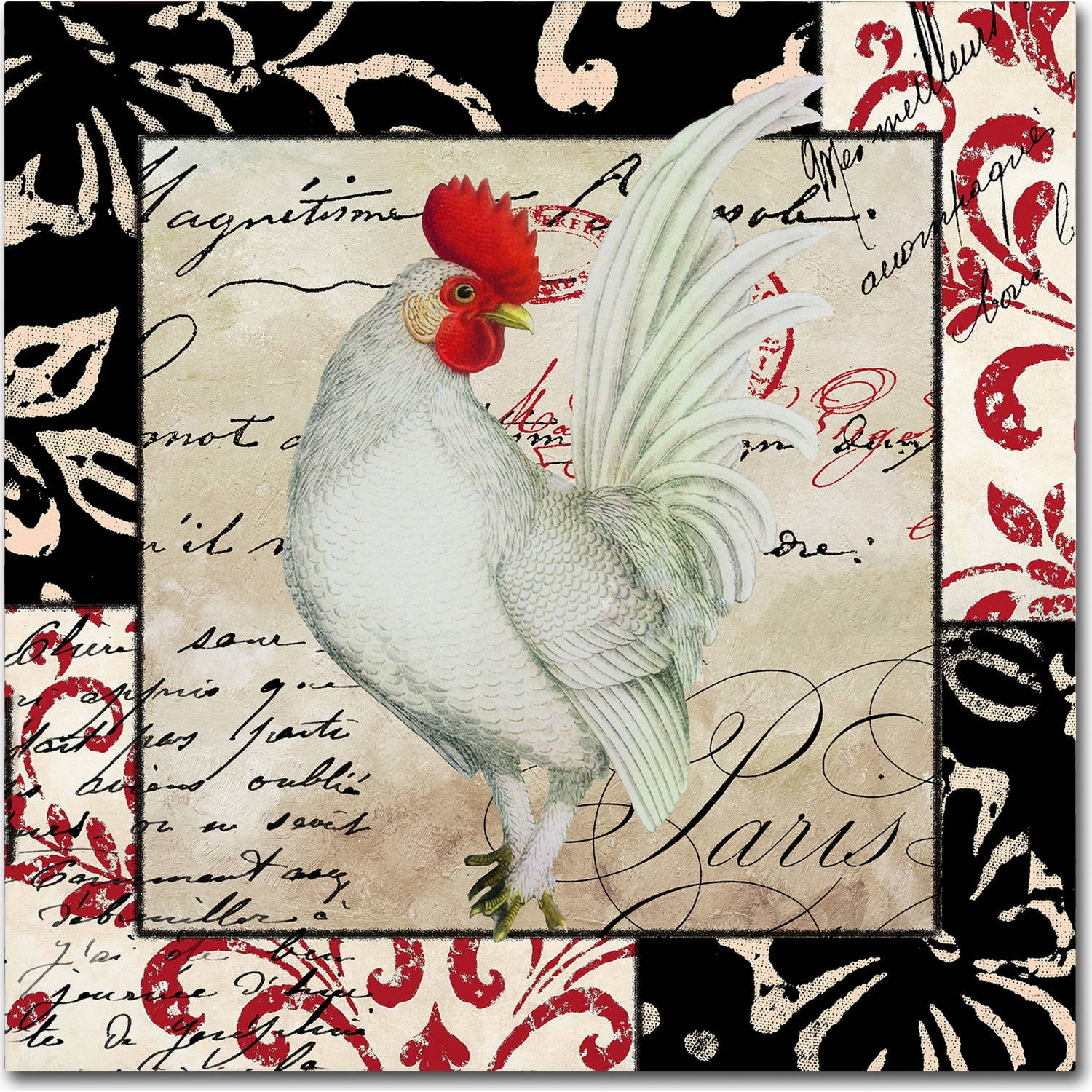 Trademark Fine Art "Europa White Rooster" Canvas Art by Color Bakery