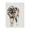 thumbnail image 1 of Trademark Fine Art 'European Wolf' Canvas Art by Mark Adlington, 1 of 3