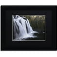 thumbnail image 1 of Trademark Fine Art "Evanescence" Canvas Art by Mathieu Rivrin, Black Matte, Black Frame, 1 of 1