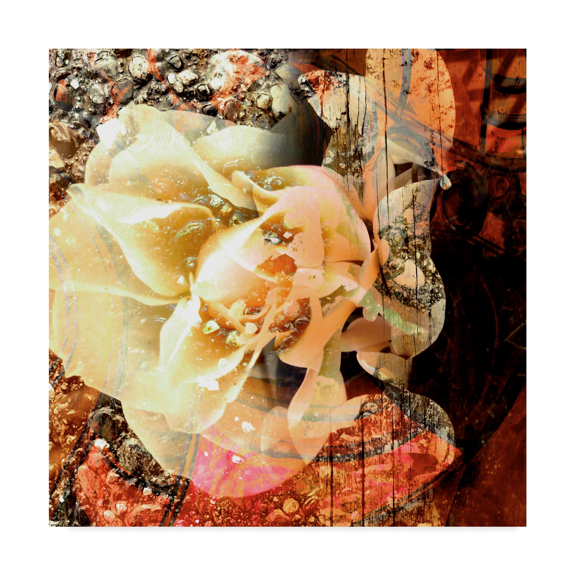 Trademark Fine Art 'Eveline I' Canvas Art by Danielle Harrington