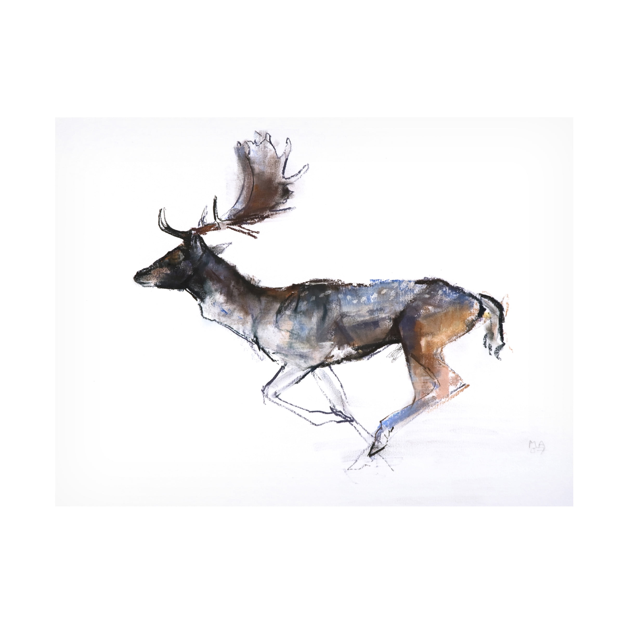 Trademark Fine Art Mark Adlington Evening Buck Fallow Deer Canvas Wall Art - 35x47