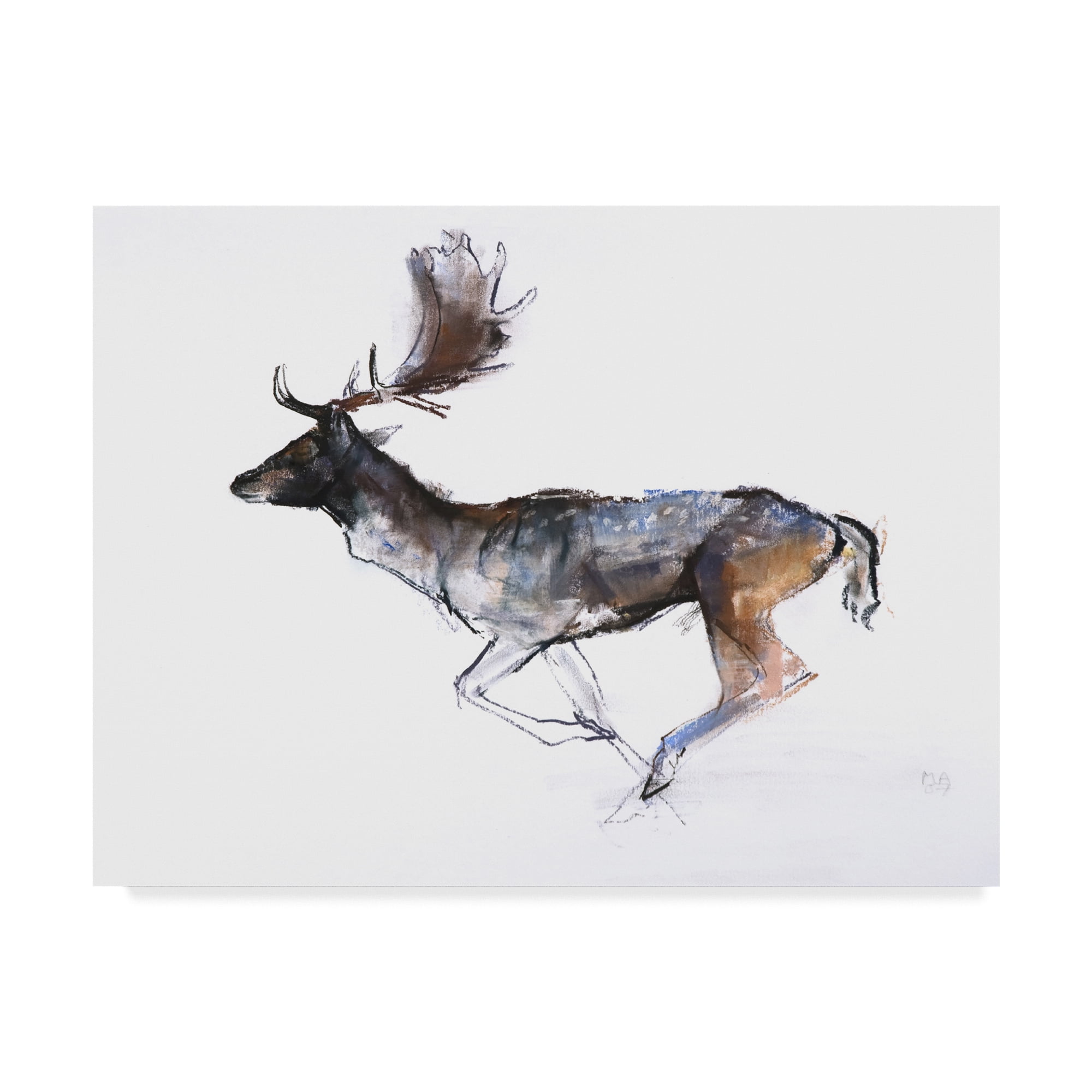 Evening Buck Fallow Deer Framed Canvas Art in Landscape Orientation