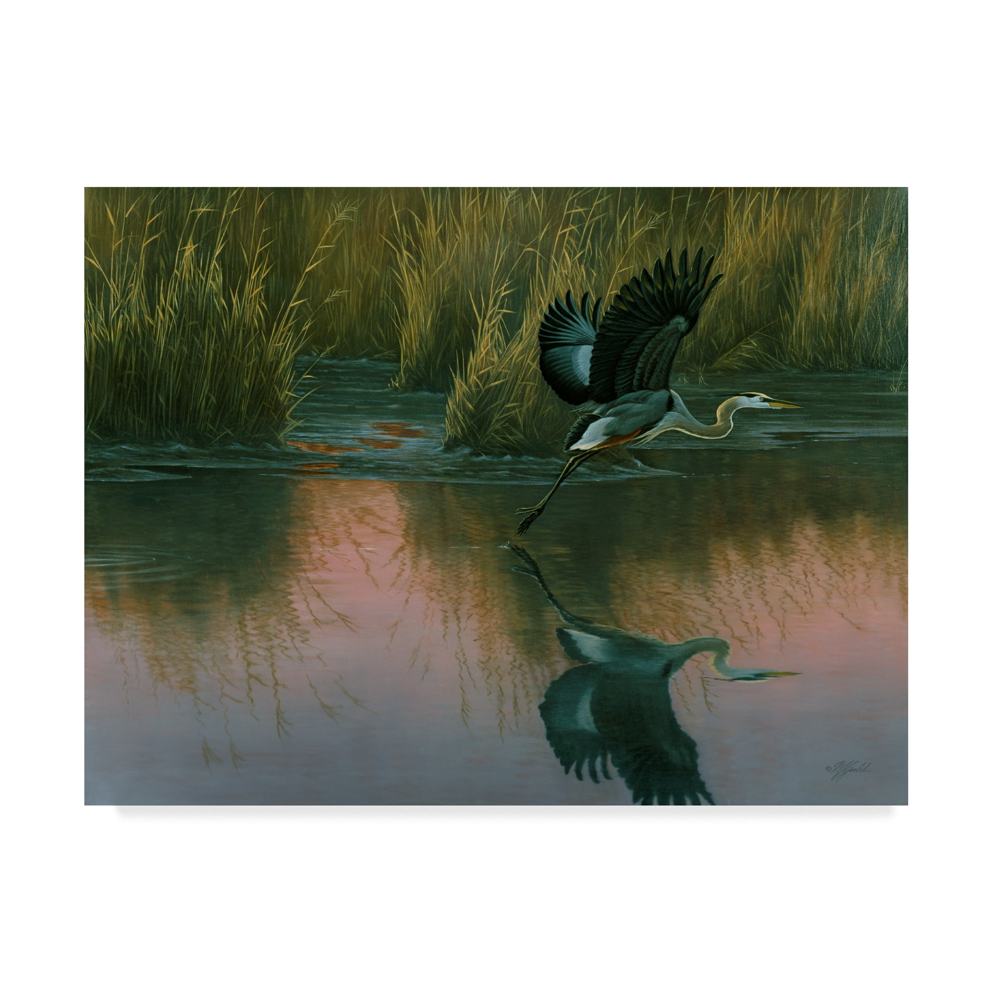 Trademark Fine Art 'Evening Flight Great Blue Heron' Canvas Art by Wilhelm Goebel