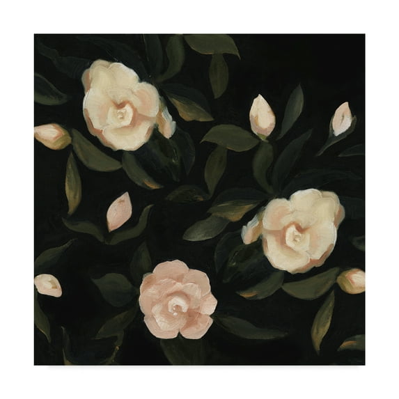 Trademark Fine Art 'Evening Gardenias I' Canvas Art by Emma Scarvey