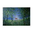 thumbnail image 1 of Trademark Fine Art 'Evening In The Bluebell Wood' Canvas Art by Angie Livingstone, 1 of 3