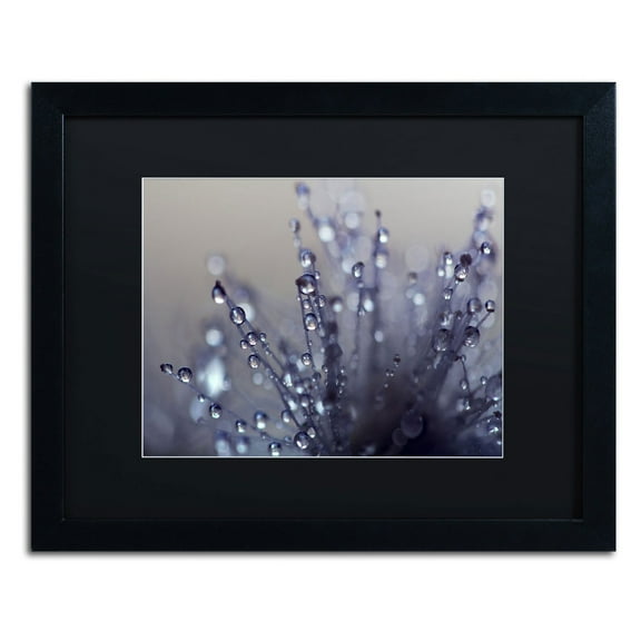 Trademark Fine Art "Evening Jewels" Canvas Art by Beata Czyzowska Young, Black Matte, Black Frame