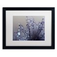 thumbnail image 1 of Trademark Fine Art "Evening Jewels" Canvas Art by Beata Czyzowska Young, White Matte, Black Frame, 1 of 4