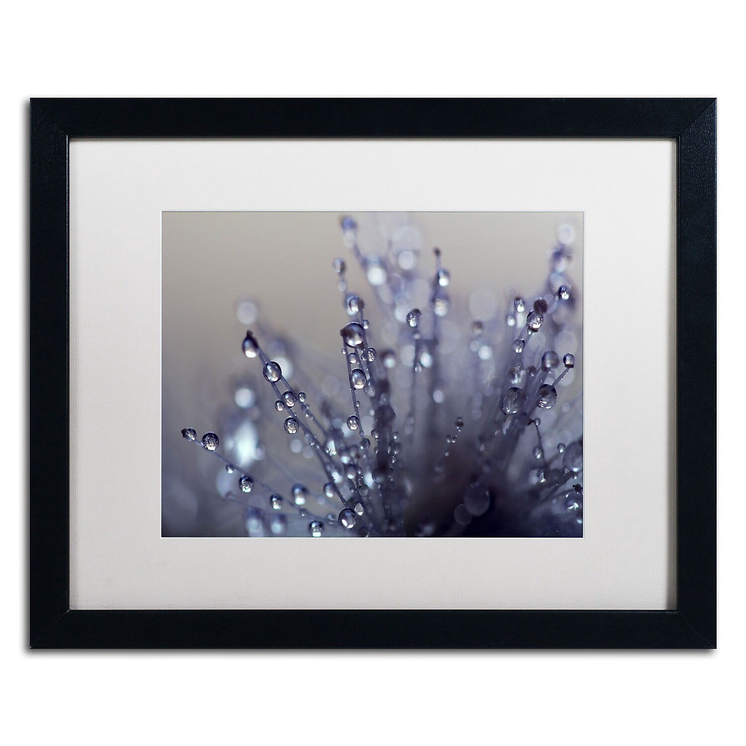 Trademark Fine Art "Evening Jewels" Canvas Art by Beata Czyzowska Young, White Matte, Black Frame