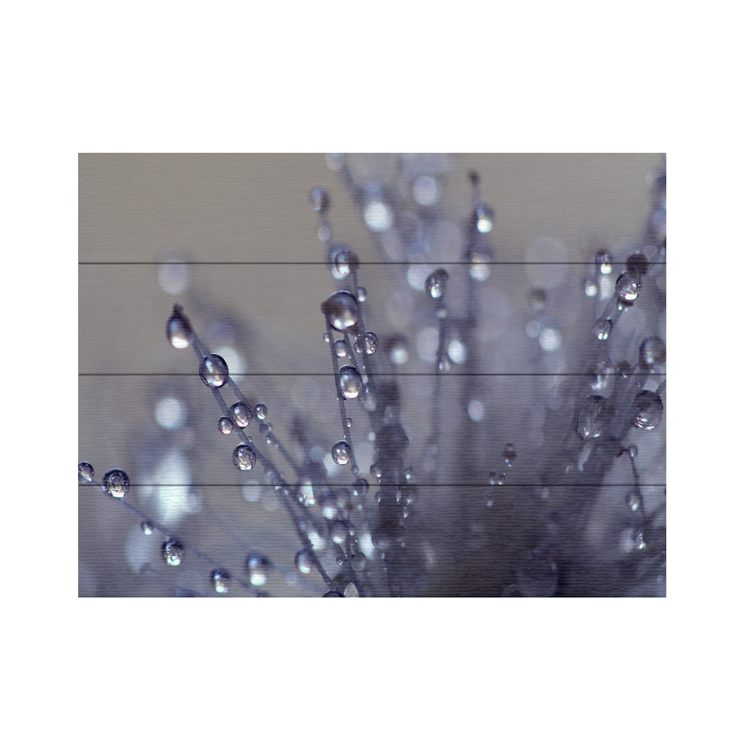 Trademark Fine Art 'Evening Jewels' Wooden Wall Art Art by Beata Czyzowska Young
