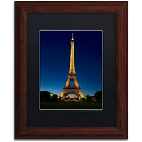 Trademark Fine Art "Evening Light Show" Canvas Art by Michael Blanchette Photography Black Matte, Wood Frame