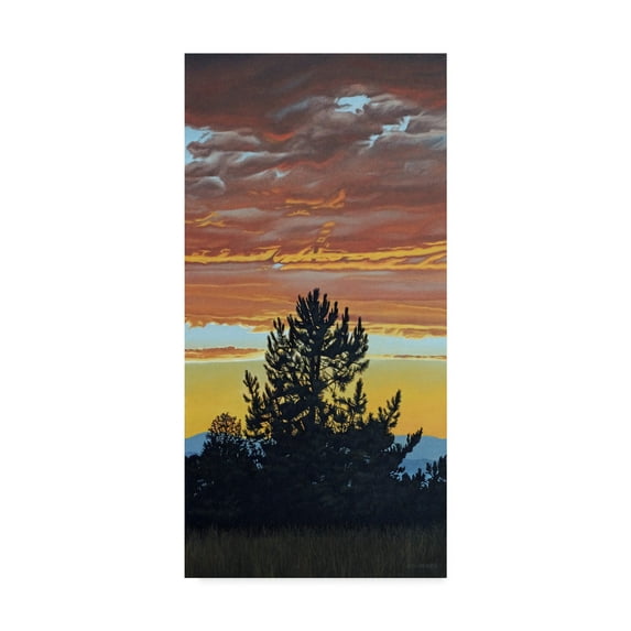 Trademark Fine Art 'Evening Pine' Canvas Art by Ron Parker