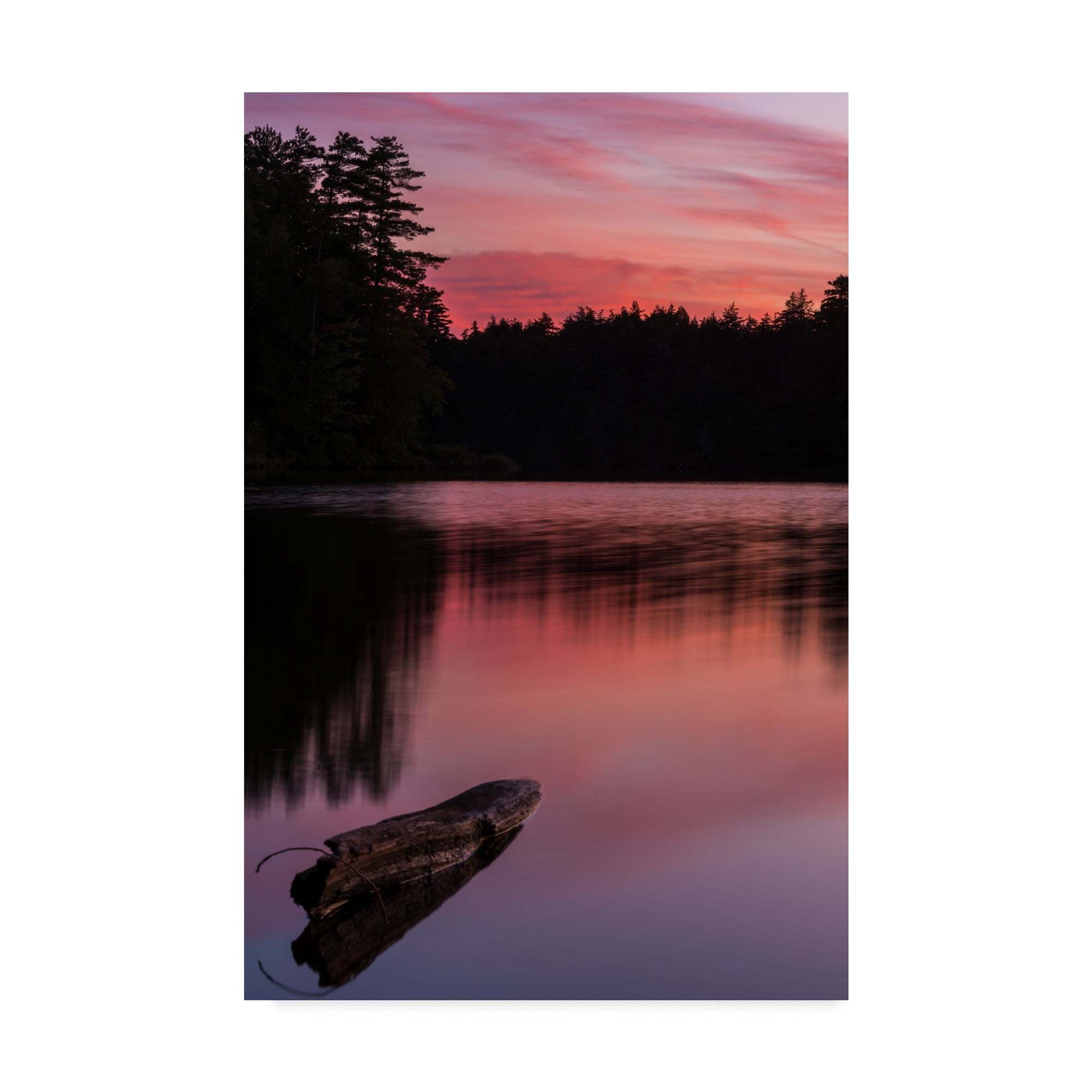 Trademark Fine Art 'Evening Reflection' Canvas Art by Brenda Petrella Photography Llc