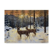 Trademark Fine Art 'Evening Silence' Canvas Art by Jeff Tift